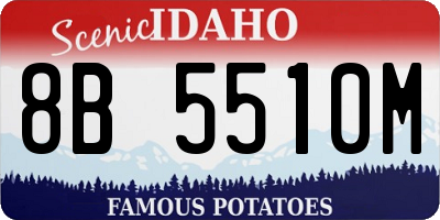 ID license plate 8B5510M