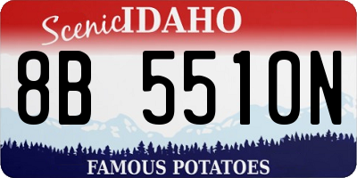 ID license plate 8B5510N