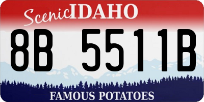 ID license plate 8B5511B