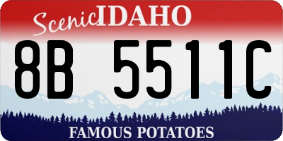 ID license plate 8B5511C