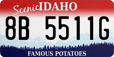 ID license plate 8B5511G