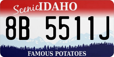 ID license plate 8B5511J