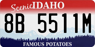 ID license plate 8B5511M