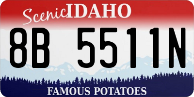 ID license plate 8B5511N