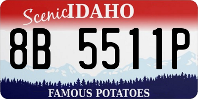 ID license plate 8B5511P