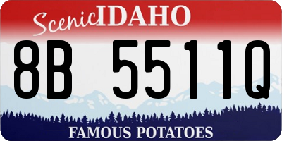 ID license plate 8B5511Q