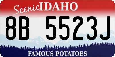 ID license plate 8B5523J
