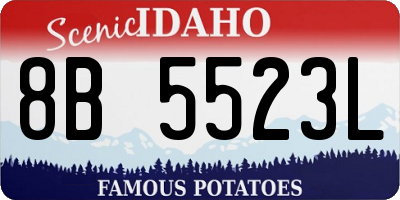 ID license plate 8B5523L