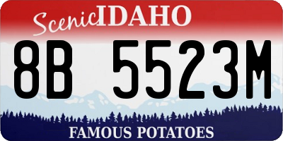 ID license plate 8B5523M