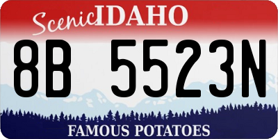 ID license plate 8B5523N