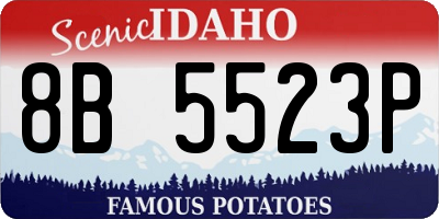 ID license plate 8B5523P