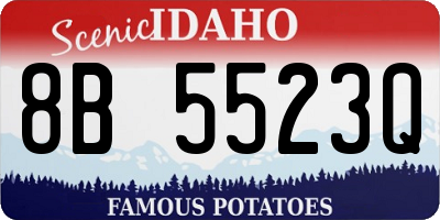 ID license plate 8B5523Q
