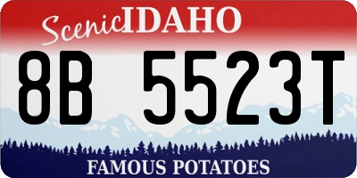 ID license plate 8B5523T