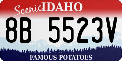 ID license plate 8B5523V