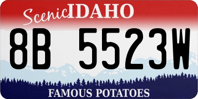 ID license plate 8B5523W