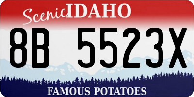 ID license plate 8B5523X