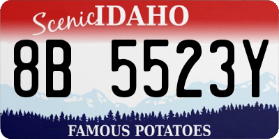 ID license plate 8B5523Y