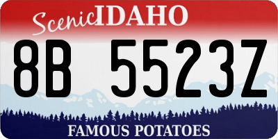 ID license plate 8B5523Z