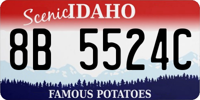 ID license plate 8B5524C