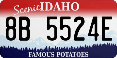 ID license plate 8B5524E