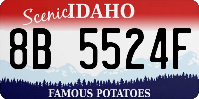 ID license plate 8B5524F