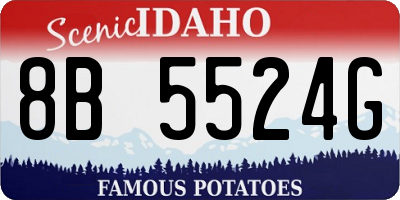 ID license plate 8B5524G