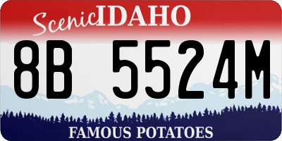 ID license plate 8B5524M