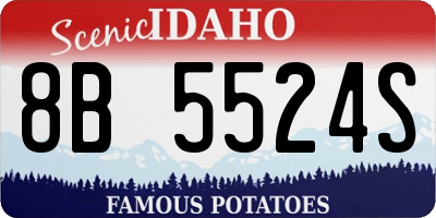 ID license plate 8B5524S