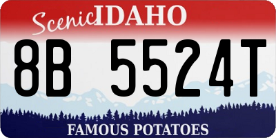 ID license plate 8B5524T