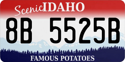 ID license plate 8B5525B