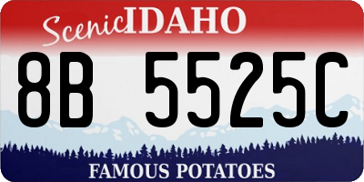 ID license plate 8B5525C