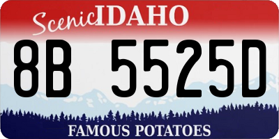 ID license plate 8B5525D
