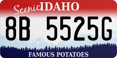 ID license plate 8B5525G