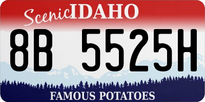 ID license plate 8B5525H