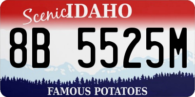 ID license plate 8B5525M