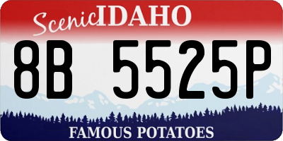 ID license plate 8B5525P