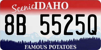 ID license plate 8B5525Q