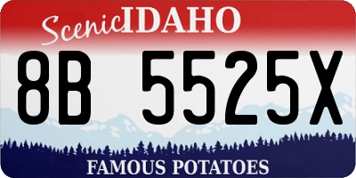 ID license plate 8B5525X
