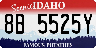 ID license plate 8B5525Y