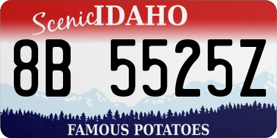ID license plate 8B5525Z