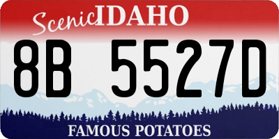 ID license plate 8B5527D
