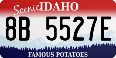 ID license plate 8B5527E