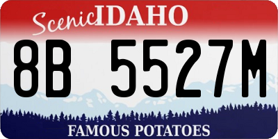 ID license plate 8B5527M