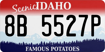 ID license plate 8B5527P