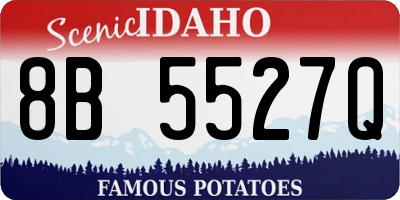 ID license plate 8B5527Q