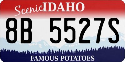 ID license plate 8B5527S
