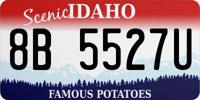 ID license plate 8B5527U