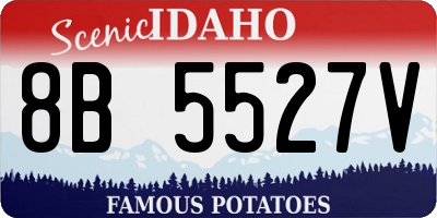 ID license plate 8B5527V