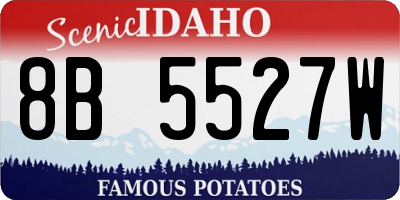 ID license plate 8B5527W