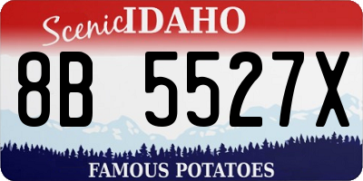 ID license plate 8B5527X